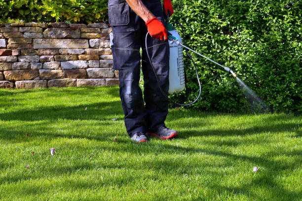 Seasonal Pest Control in Millbrook, NY